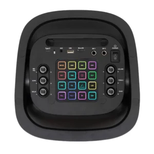 Prenosna zvučna kutija sa Bluetooth konekcijom 60W – PAR2100BT – fotografija 4